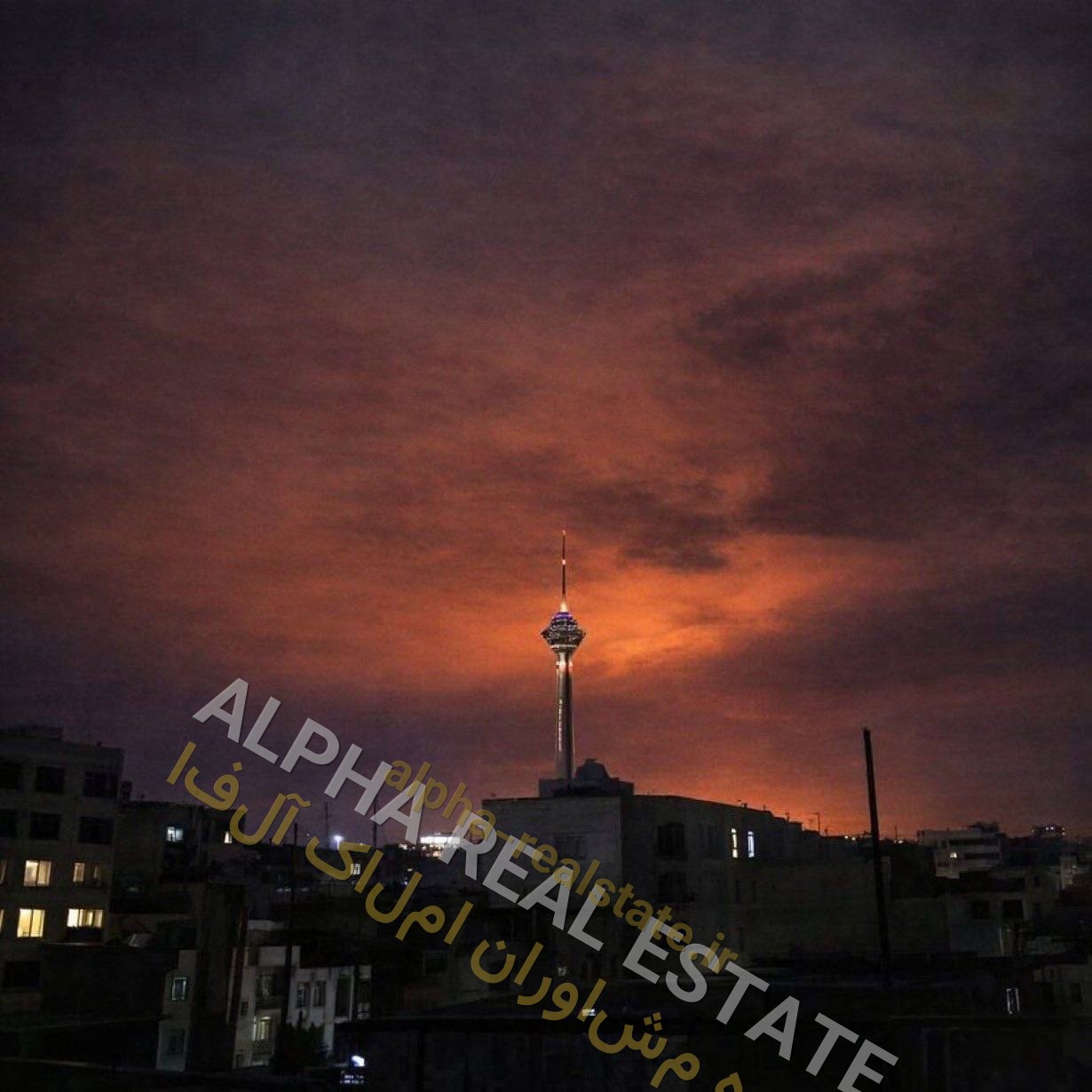 تصویر ملک
